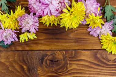 Ahşap arka planda güzel kasımpatılar. Üst görünüm, alanı kopyala