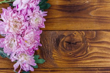 Ahşap arka planda güzel kasımpatılar. Üst görünüm, alanı kopyala