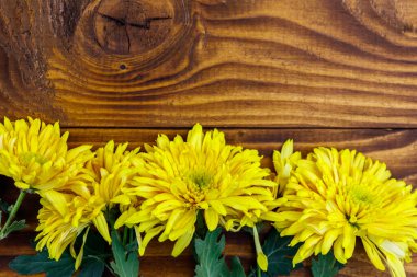 Ahşap arka planda sarı kasımpatılar. Üst görünüm, alanı kopyala