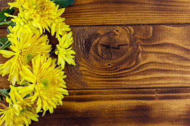 Ahşap arka planda sarı kasımpatılar. Üst görünüm, alanı kopyala