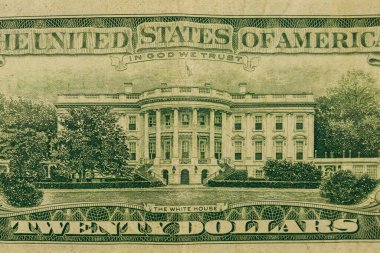 Yirmi dolarlık banknotun makro çekimi