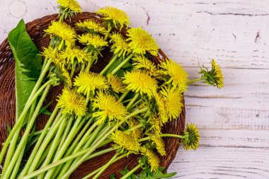 Hasır sepetteki sarı karahindiba çiçekleri beyaz ahşap arka planda. Üst görünüm