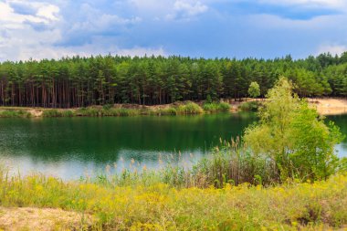 Yazın bir çam ormanında güzel bir göl manzarası