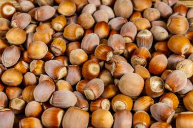 Tüm fındıkların yemek geçmişi