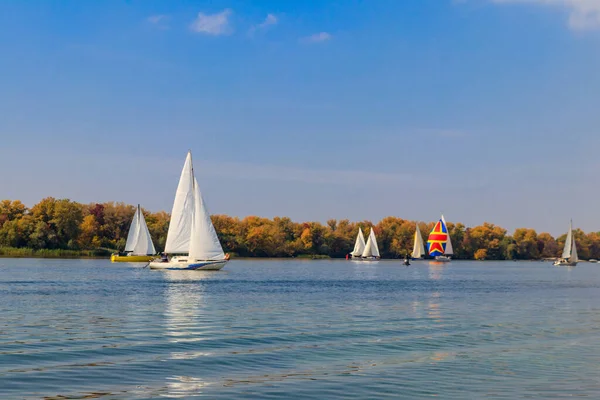 Kremenchug, Ukrayna 'daki Dinyeper Nehri' ndeki yelkenli yarışlarında yatlar