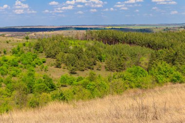 Yeşil ağaçlar, çayırlar, tarlalar ve mavi gökyüzü ile ilkbahar manzarası