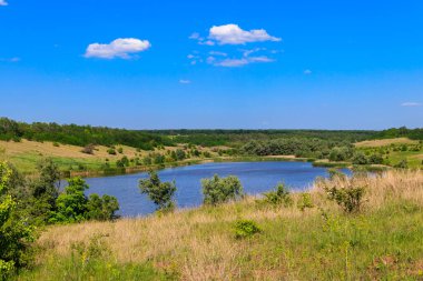 Güzel gölü olan yaz manzarası, yeşil çayırlar, tepeler, ağaçlar ve mavi gökyüzü.