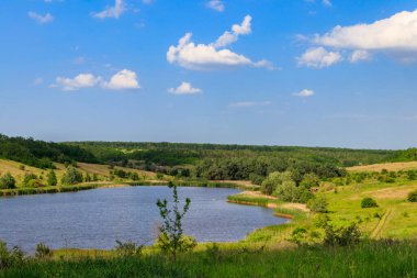 Güzel gölü olan yaz manzarası, yeşil çayırlar, tepeler, ağaçlar ve mavi gökyüzü.