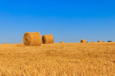 Tahıl hasadından sonra bir tarlada saman balyaları yuvarla