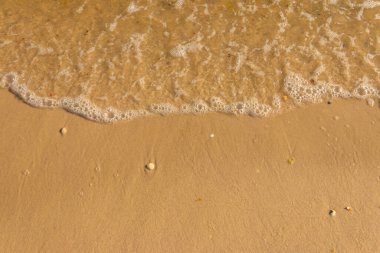 Kumlu sahilde yumuşak bir deniz dalgası