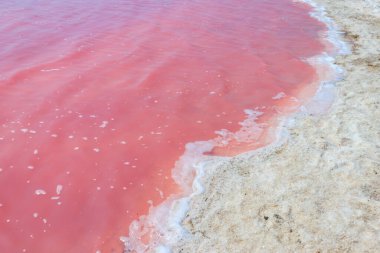 Ukrayna 'nın Kherson bölgesindeki pembe tuzlu Syvash gölünün yüzeyi. Doğal arkaplan, doku
