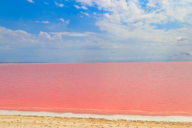 View of the pink salty Syvash lake in Kherson region, Ukraine clipart