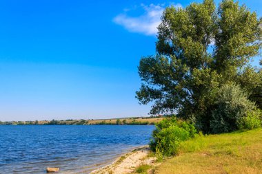 Güzel bir nehir, yeşil ağaçlar ve mavi gökyüzü olan yaz manzarası