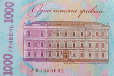 Ukrayna para birimi. 1000 Hryvnia banknotunun makro çekimi