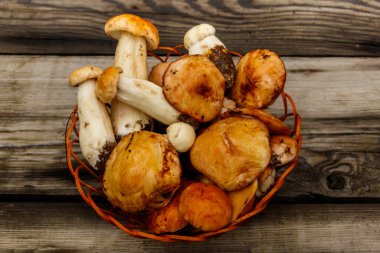 Kırsal ahşap masada sepetten taze toplanmış orman mantarları. Üst görünüm