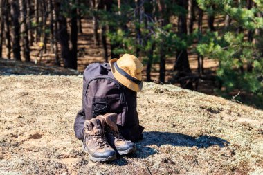Turist sırt çantası, yürüyüş botları ve çam ormanında şapka. Yürüyüş konsepti