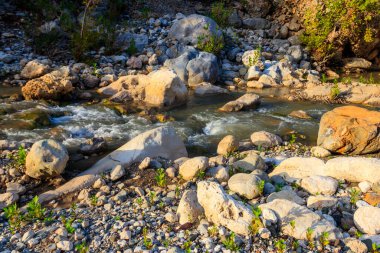 Güzel dağ deresi olan manzaralı bir yer. Küçük bir nehirde berrak suyu olan ideal bir manzara. Hızlı su akışı yakın çekim