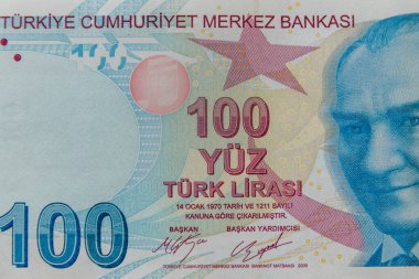 100 lira banknotun makro çekimi.