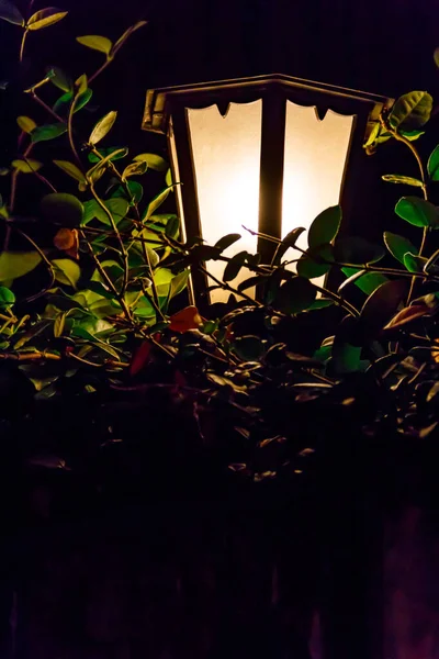 Geceleyin aydınlık klasik sokak feneri