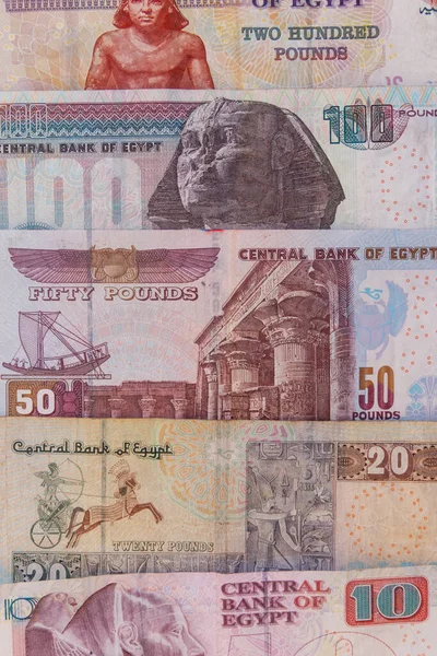Tło Różnych Egipskich Banknotów Funtów Waluta Egipska — Zdjęcie stockowe
