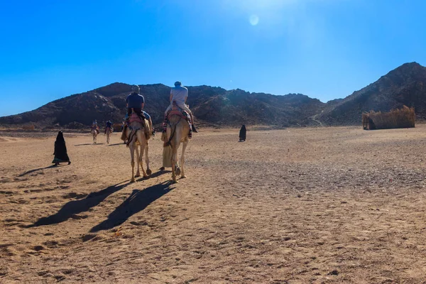 Gruppe Von Touristen Auf Kamelen Der Arabischen Wüste Ägypten — Stockfoto
