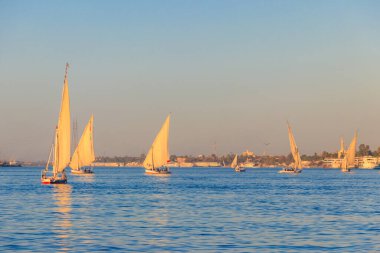 Felucca tekneleri Lüksör, Mısır 'da Nil nehrinde yelken açıyorlar. Geleneksel Mısır yelkenli tekneleri