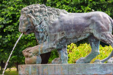 Bronz aslan heykeli. St. Petersburg, Rusya 'daki Aşağı Peterhof Parkı' nda Aslan Çeşmesi.