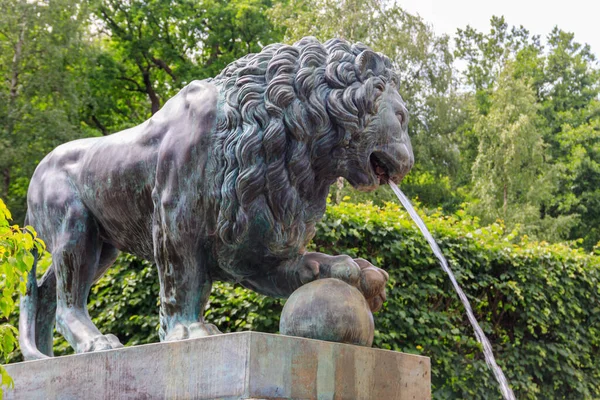 Bronze statue of lion. Fragment of fountain Lion\'s cascade in Lower park of Peterhof in St. Petersburg, Russia