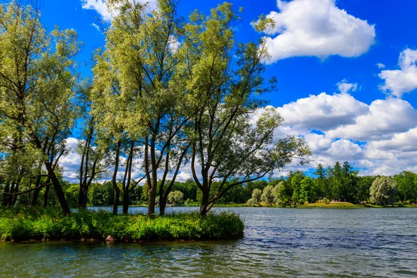 Puşkin, Rusya 'daki Tsarskoye Selo' daki Catherine parkında büyük gölet.