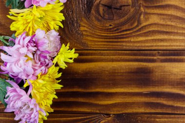 Ahşap arka planda güzel kasımpatılar. Üst görünüm, alanı kopyala