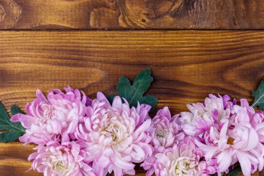 Ahşap arka planda güzel kasımpatılar. Üst görünüm, alanı kopyala