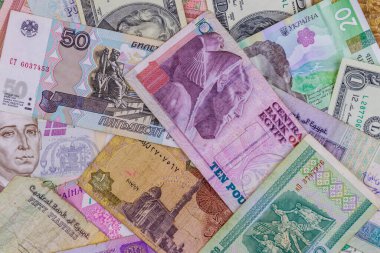 ABD dolarları, Rus rublesi, Beyaz Rusya rublesi, Mısır sterlini ve Ukrayna hrivniası
