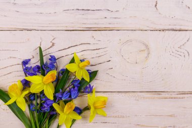 Beyaz ahşap arka planda sarı nergis buketi ve mavi scilla çiçekleri. Paskalya, Sevgililer Günü, Kadınlar Günü ve Anneler Günü için tebrik kartı. Üst görünüm, alanı kopyala