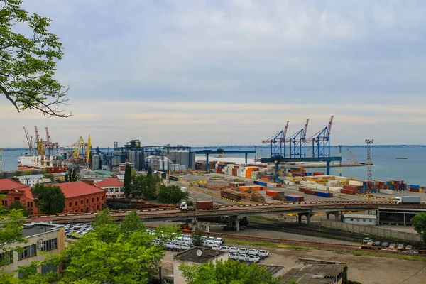 Emelő Daruk Szállítókonténerek Magtárak Rakománytengeri Kikötőben Odessa Ukrajna — Stock Fotó