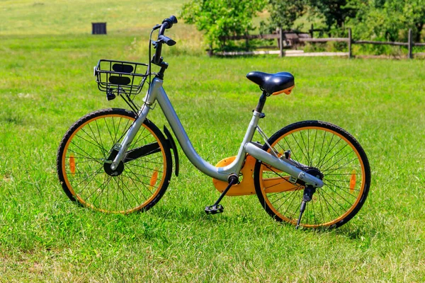 Modernes Fahrrad Auf Einer Grünen Wiese Ländlichen Raum Abgestellt — Stockfoto