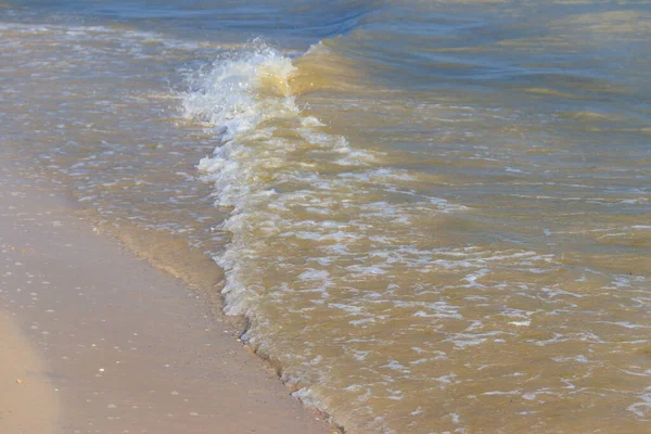 Soft Wave Sea Sandy Beach Stock Image