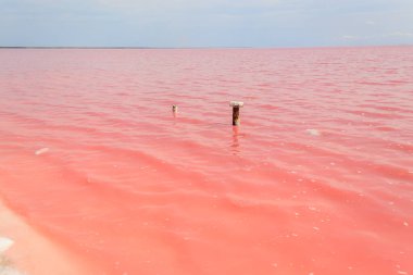 Ukrayna 'nın Kherson bölgesindeki pembe tuzlu Syvash gölünde tuz birikintileri olan demir direkler.