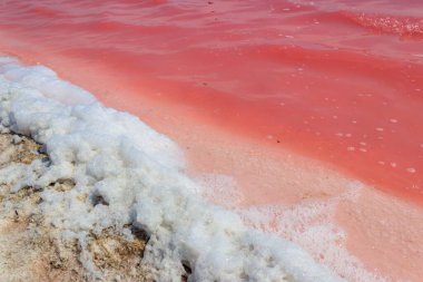 Ukrayna 'nın Kherson bölgesindeki pembe tuzlu Syvash gölünün yüzeyi. Doğal arkaplan, doku