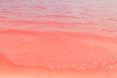 Ukrayna 'nın Kherson bölgesindeki pembe tuzlu Syvash gölünün yüzeyi. Doğal arkaplan, doku