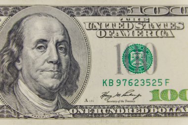 100 dolarlık makro çekim.