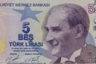 Beş Türk lira banknotunun makro çekimi.