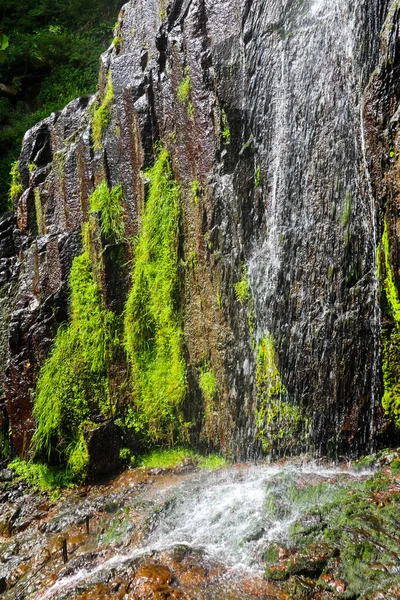 Hermosa Cascada Las Montañas Del Cáucaso Adjara Georgia —  Fotos de Stock