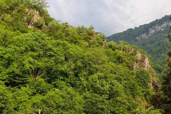 Blick Auf Die Kaukasusberge Georgien — Stockfoto