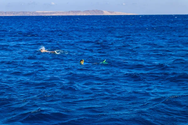 Group People Snorkeling Coral Reef Red Sea — Stock Photo, Image