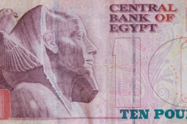 Macro Shot Van Tien Egyptische Ponden Wetsvoorstel — Stockfoto