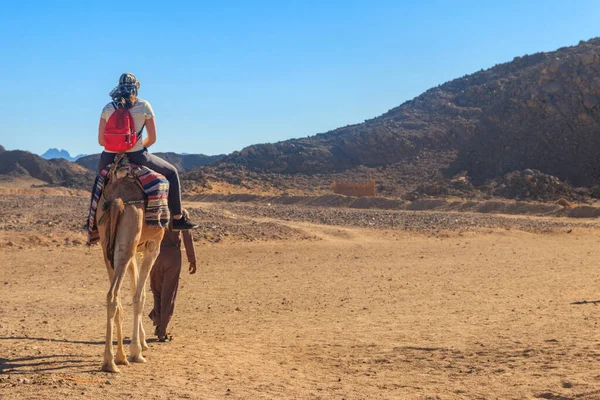 Jonge Vrouw Toeristische Paardrijden Kameel Arabische Woestijn Egypte — Stockfoto