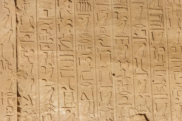 Jeroglíficos Egipcios Antiguos Pared Complejo Del Templo Karnak Luxor Egipto — Foto de Stock