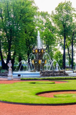 St. Petersburg, Rusya 'daki eski şehir parkında 