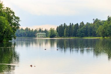 Rusya 'nın Gatchina Parkı' ndaki Aşk Adası 'nda Venüs' ün pavyonu olan bir göl manzarası
