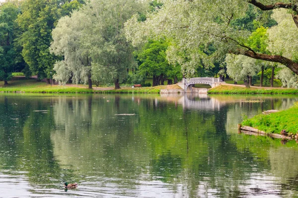 Lago Con Puente Viejo Parque Gatchina Rusia — Foto de Stock